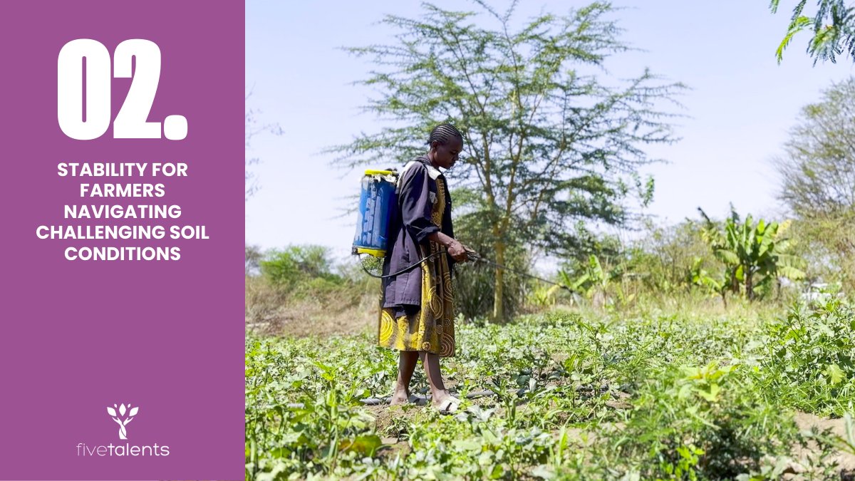 fivetalents tweet media