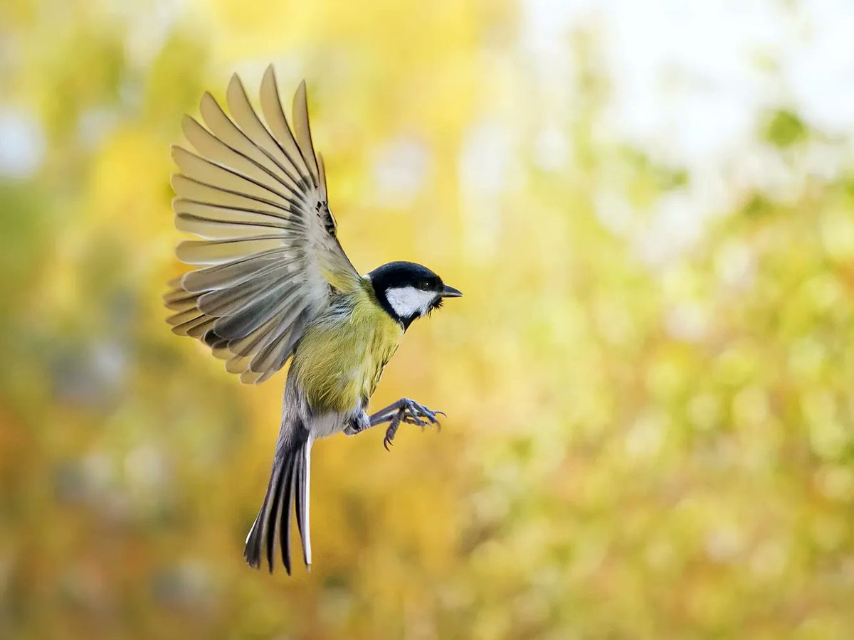 لأنكم كائنات اقل من الحيوانات ما تستاهلون تتنفسون نفس الهواء الي انا اتنفسه
اتمنى تساعدكم هذه الرسالة🤗🤗🤗