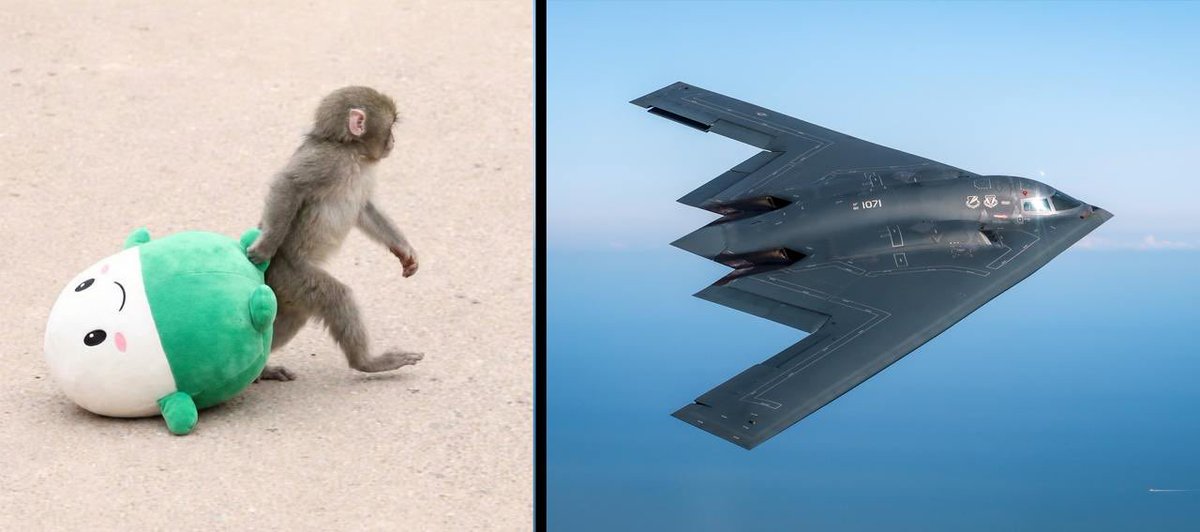 Pump.fun tweet media