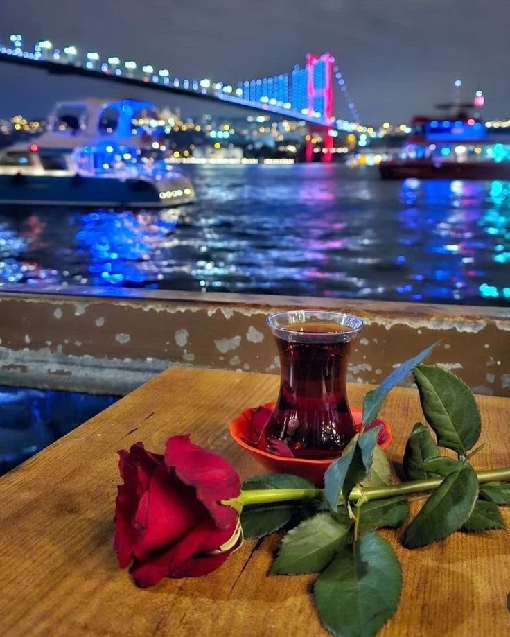 Nasıl taşırım aklımın en uzağına 
Kalbimin en yakın bildiğini

Alıştım 
Yaktığım gemilerden 
sağ çıkmak değil artık niyetim

Yasemin Canan