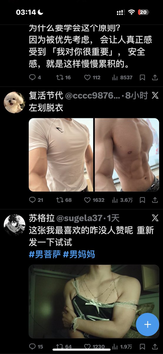 优乐美嘉 tweet media