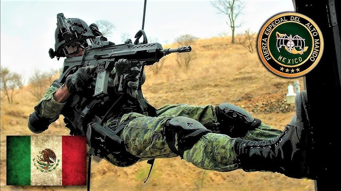 Javier EM tweet media