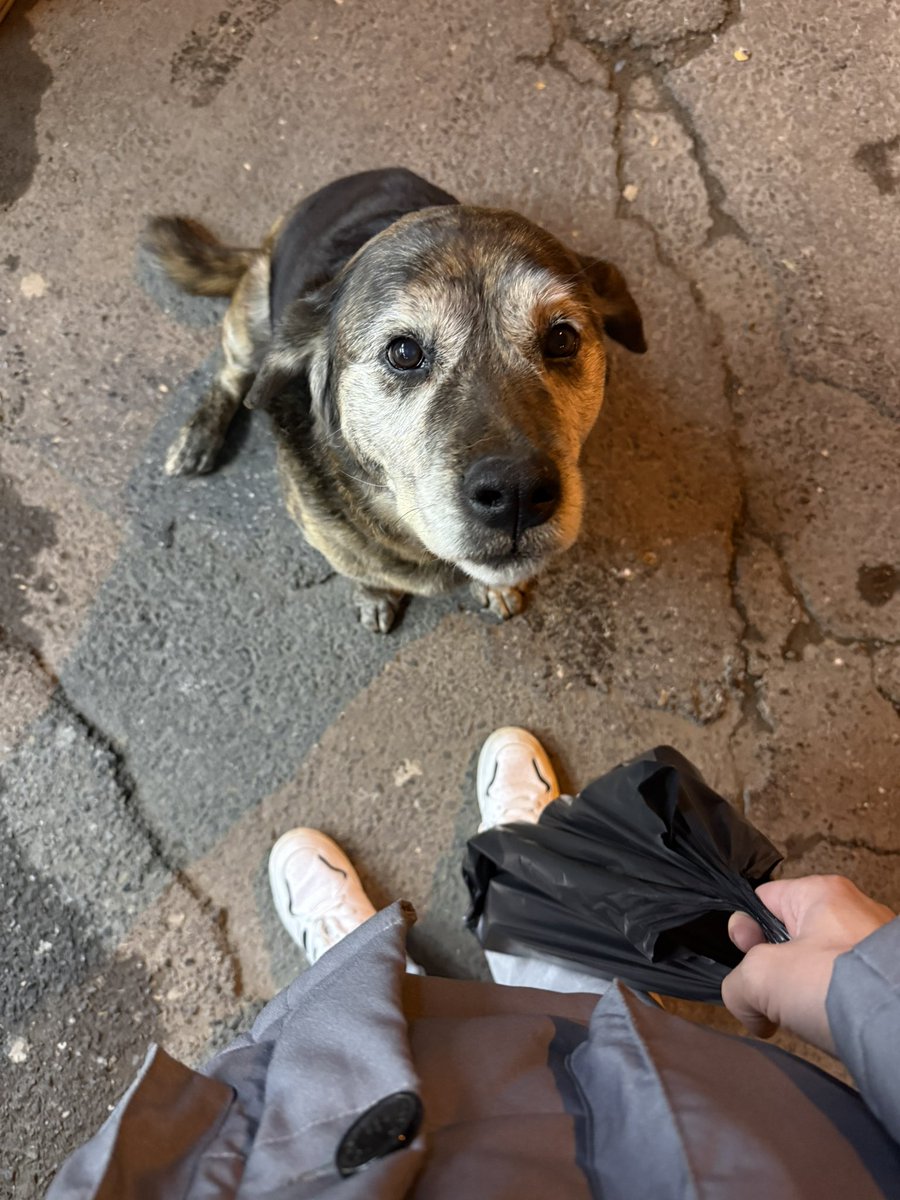 İlker (@llkercengiz) on Twitter photo 