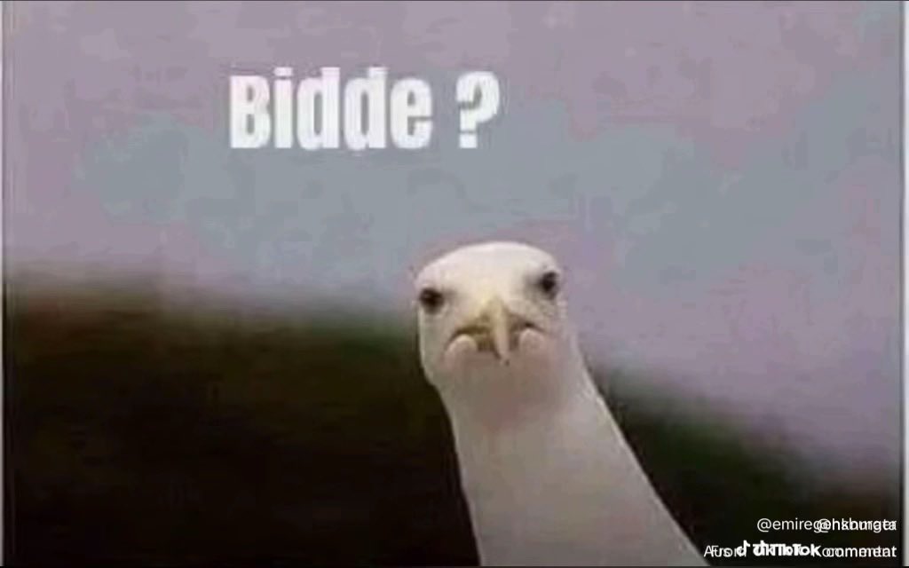 „Die alte mit der Jeans hat mich ein bisschen aus der Bahn rollen lassen.“ 

Was? #GNTM