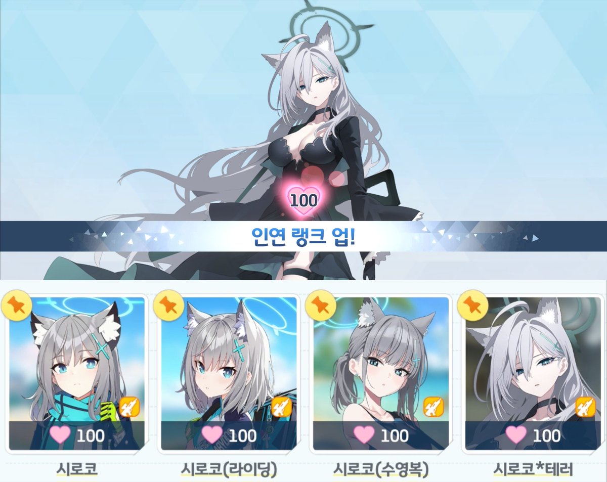 모래늑대🐺 tweet media