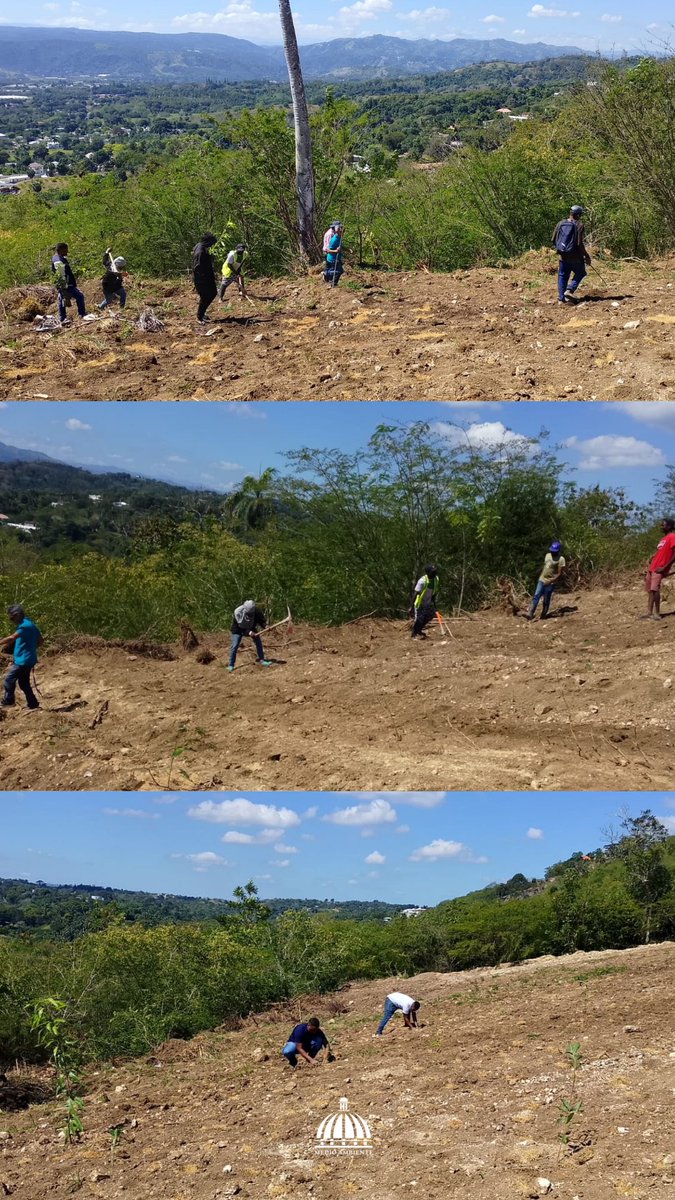 Ministerio de Medio Ambiente RD tweet media