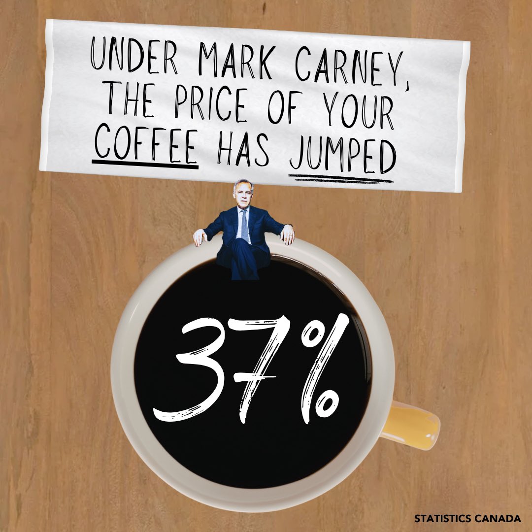 Shannon Stubbs tweet media