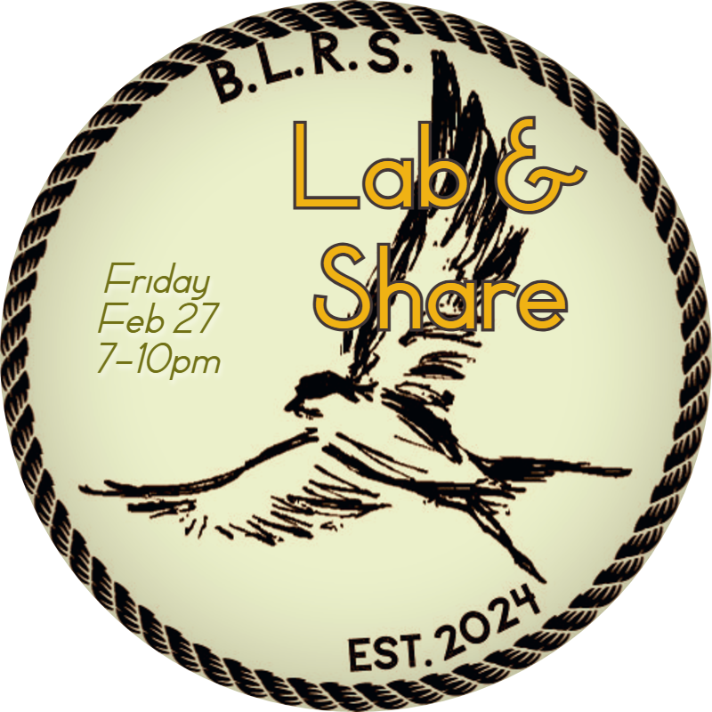 Our lab is on Friday this month! We will be joined by <a href="/tegoiss/">Meymoon</a> this time! boundlark.com/lab