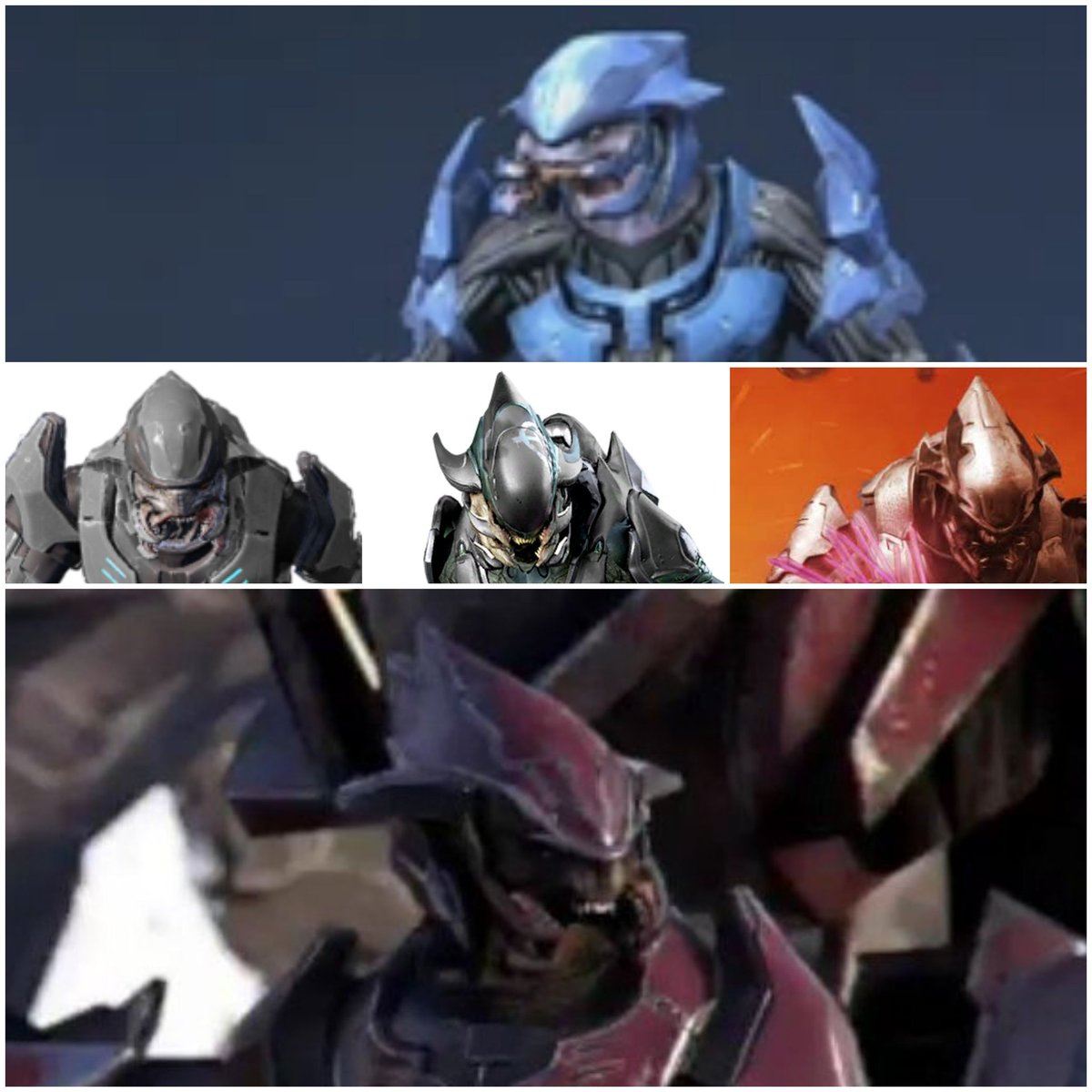 The 'basic' elite armor will literally always be be the best versions of the elites with their shark fin helmets.

Storm Elites just decided to go for a seashell look instead 🤷‍♂️