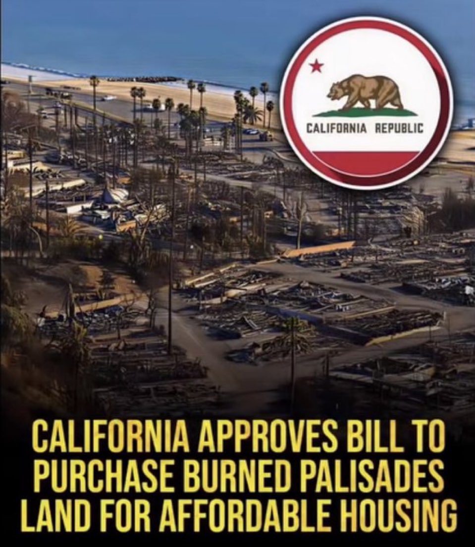 RealJamesWoods's tweet image. This is what they’ve been up to all along. 

They did everything but strike the match.