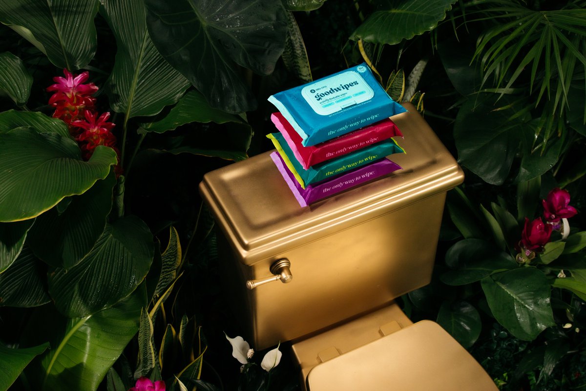 Responsible Flushing Alliance (RFA) tweet media