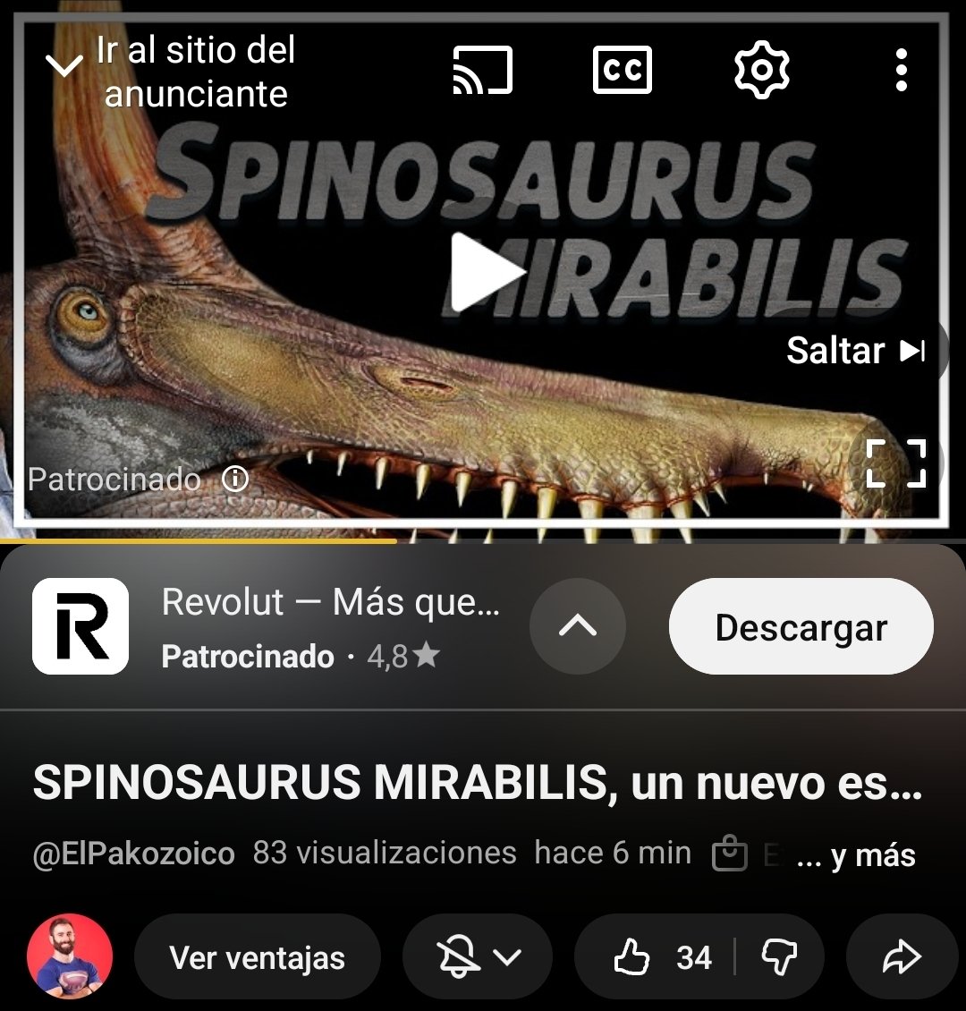 Todo sobre el nuevo Spinosaurus Mirabilis descubierto por la expedición de Paul Sereno con importante presencia de paleontologos españoles

youtube.com/watch?v=-68ICJ…
