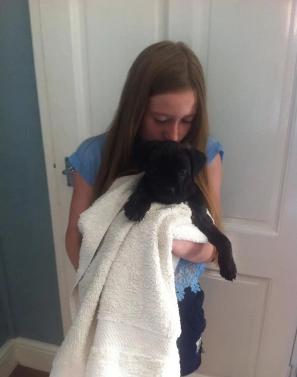 agrxns's tweet image. baby jess n baby albie