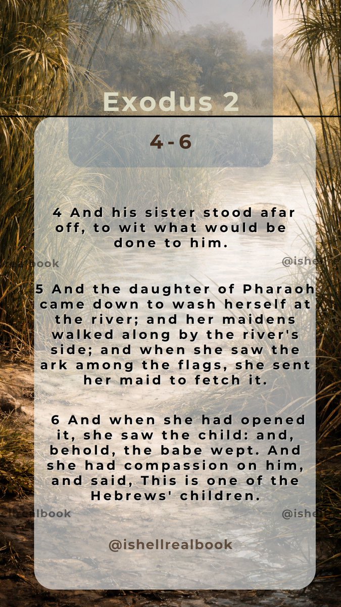 ishellrealbook's tweet photo. Divine Assignment 🙌  Even as Pharaoh sought to harm the Hebrew Male children Moses was protected🙌 …and Pharaoh’s Daughter took him in as her son!😱 Moses would later grow up to lead Israel into the Promise Land!
See Full Part 10 on
TikTok: @ishellrealbook 
IG: @ishellrealbook https://t.co/QSweEUCmja