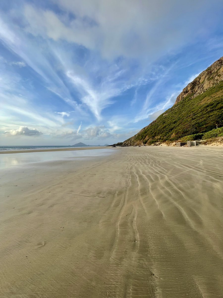 Naoki Ito tweet media