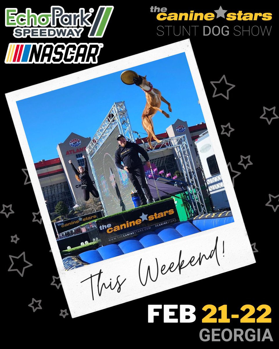 The Canine Stars tweet media