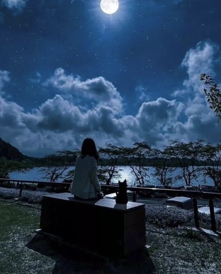 بكيت: 
لإن حياتنا عبارة عن انتظار، 
-انتظار لحظة حلوة. 
-انتظار شخص. 
-اتتظار مستقبل يعوضنا عن أيامنا السيئة. 
-انتظار الحزن ينتهي. 
-انتظار شي بدنا ياه يصير، ومانقدر نسوي شي غير الانتظار.