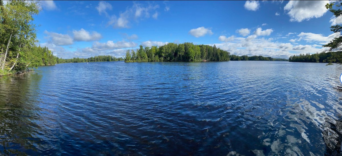 Matt Verderame tweet media