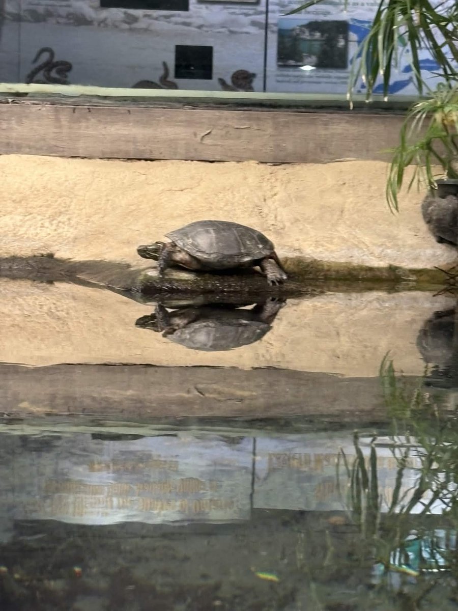 Lily ツ tweet media