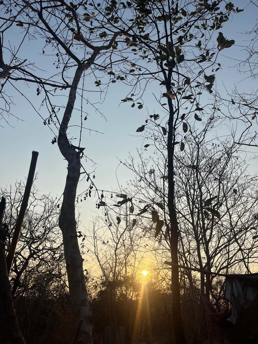 NphaPhli's tweet photo. สวัสดียามเช้า https://t.co/auC8oQl6z2