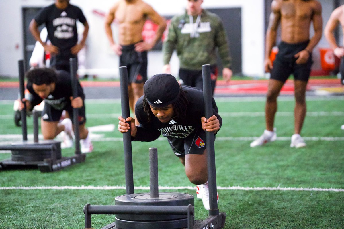 Rhys Dorsey tweet media