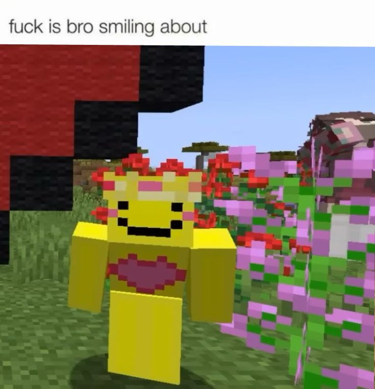 Nova 𓏲𝄢 cater of uutwt ˖⋆࿐໋✦ tweet media