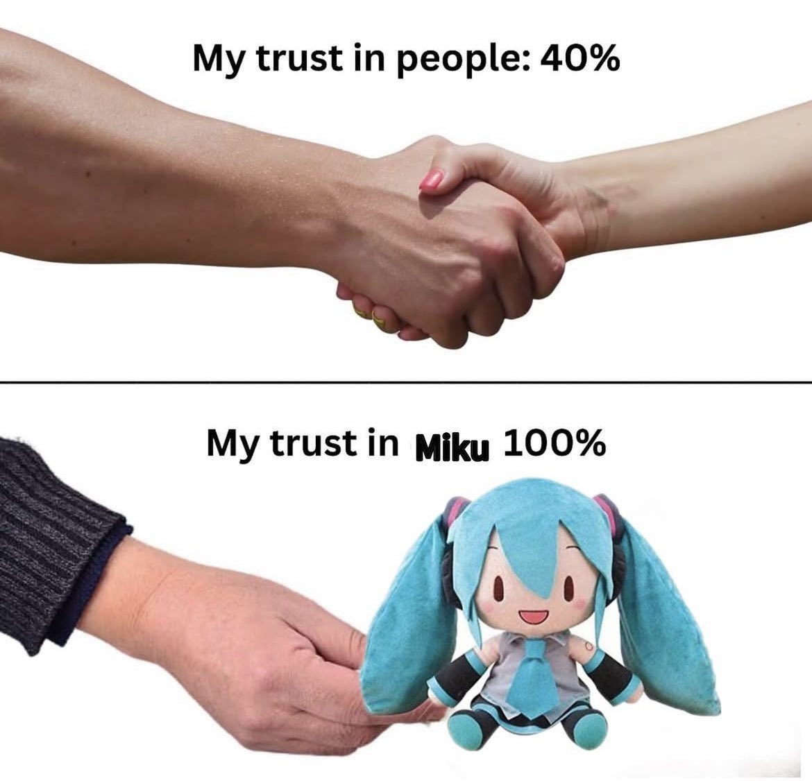 Have faith in Miku! 🙏