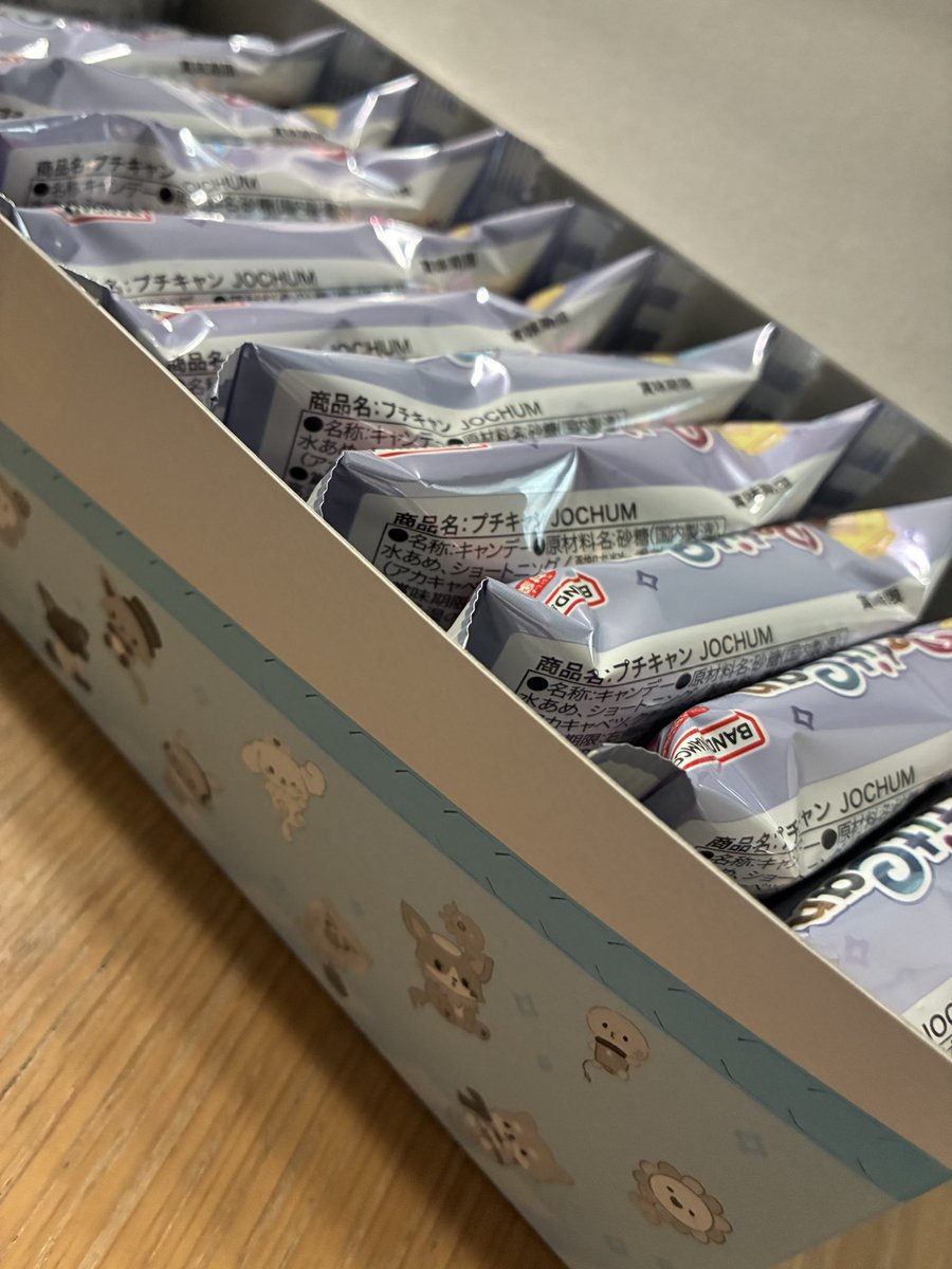 プチキャンJOCHUM 全種類欲しくて箱買い ちなみに順番は前から 集合 ぽ