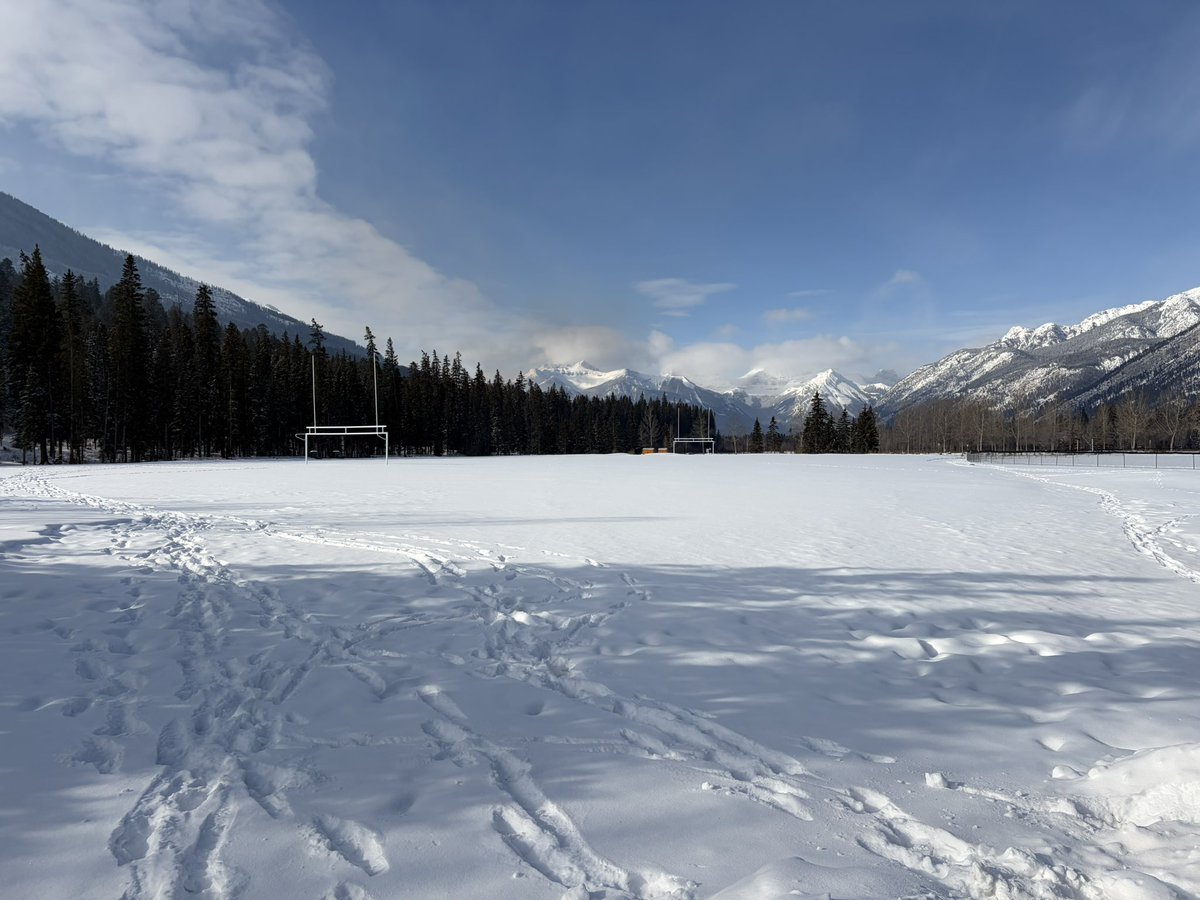 Simon Poe tweet media