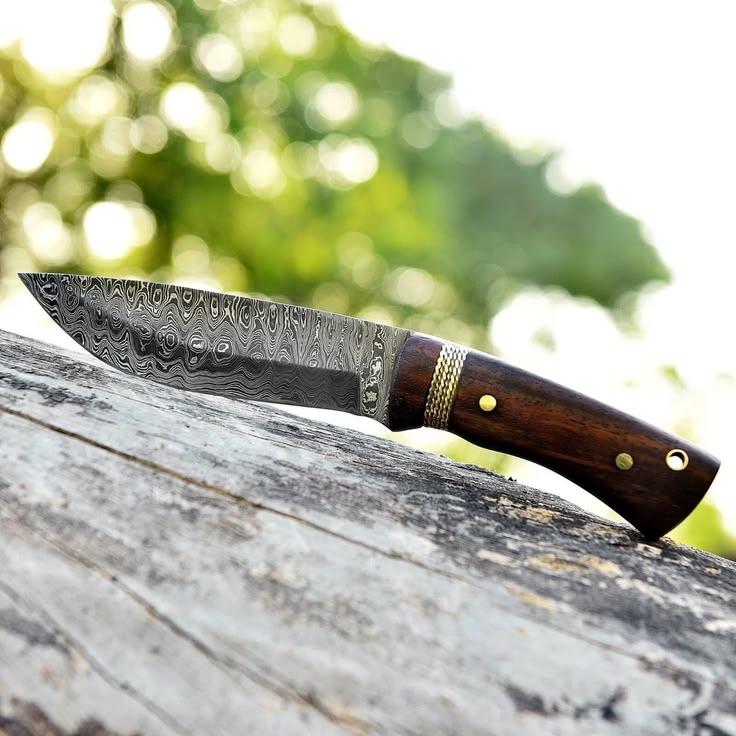 EDCCARRY1's tweet photo. Handmade Damascus Steel Hunting Knife 🔥
Razor-sharp, full tang, and built for the wild.
Premium grip &amp; genuine leather sheath included.
DM to order. ⚔️ #Durable #hunterxhunter #HUNTER #outdoors #outdoor #bushcraft https://t.co/cJQkf1sG1U
