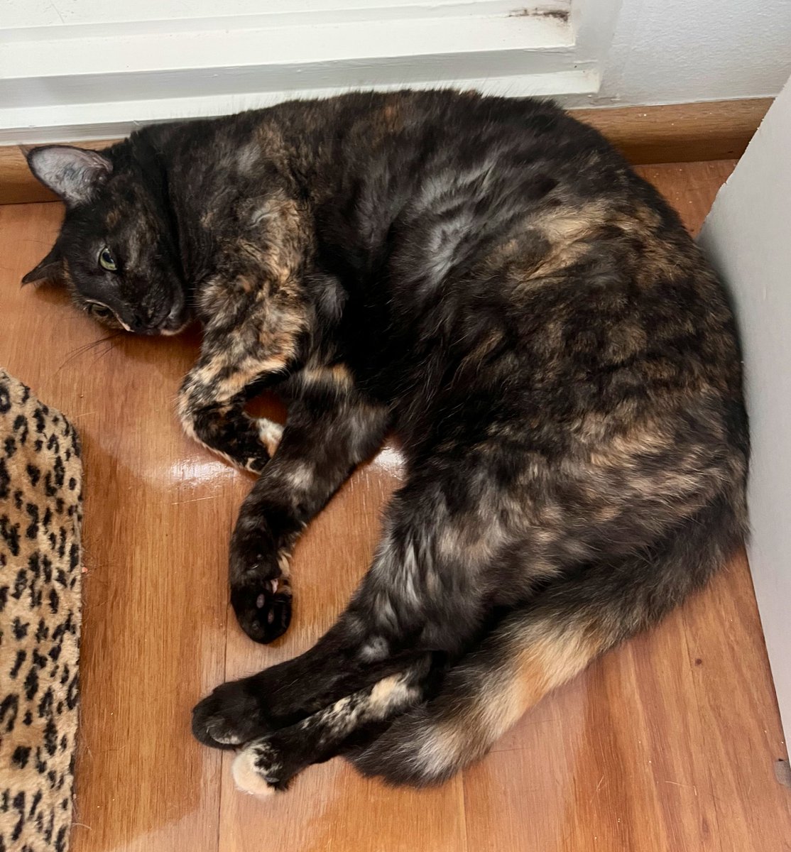 Dave Krantz tweet media