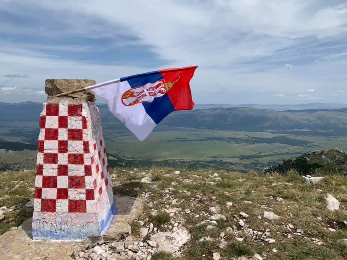 Wolfvillage84🧢 tweet media