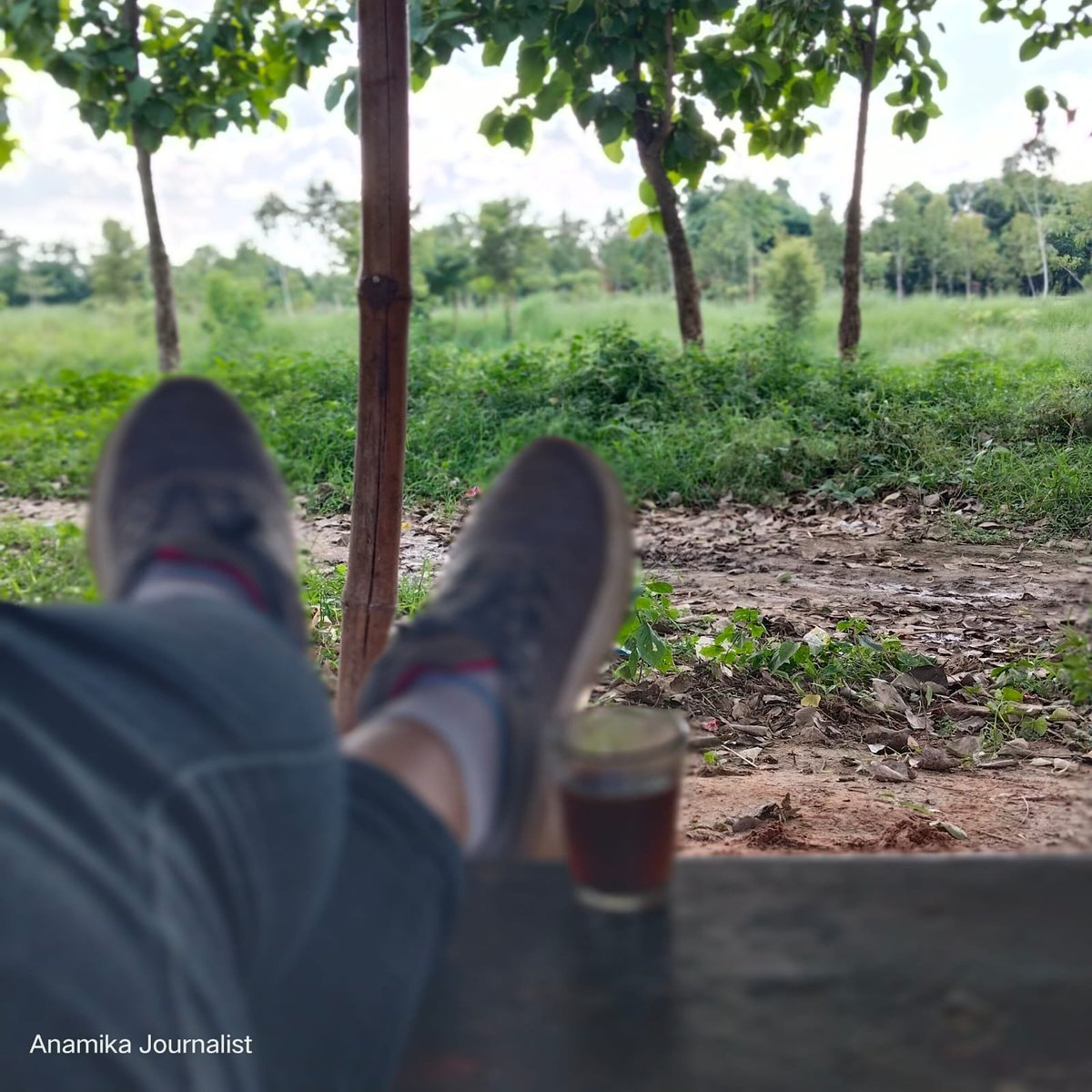 Anamika Pal tweet media