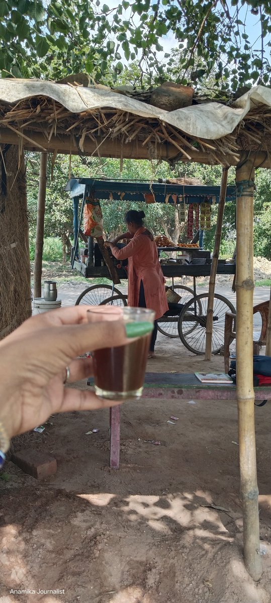 Anamika Pal tweet media