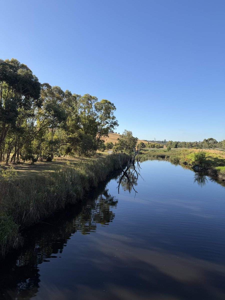 Morning all. It just doesn’t get much better than this! Enjoy the Day🌞