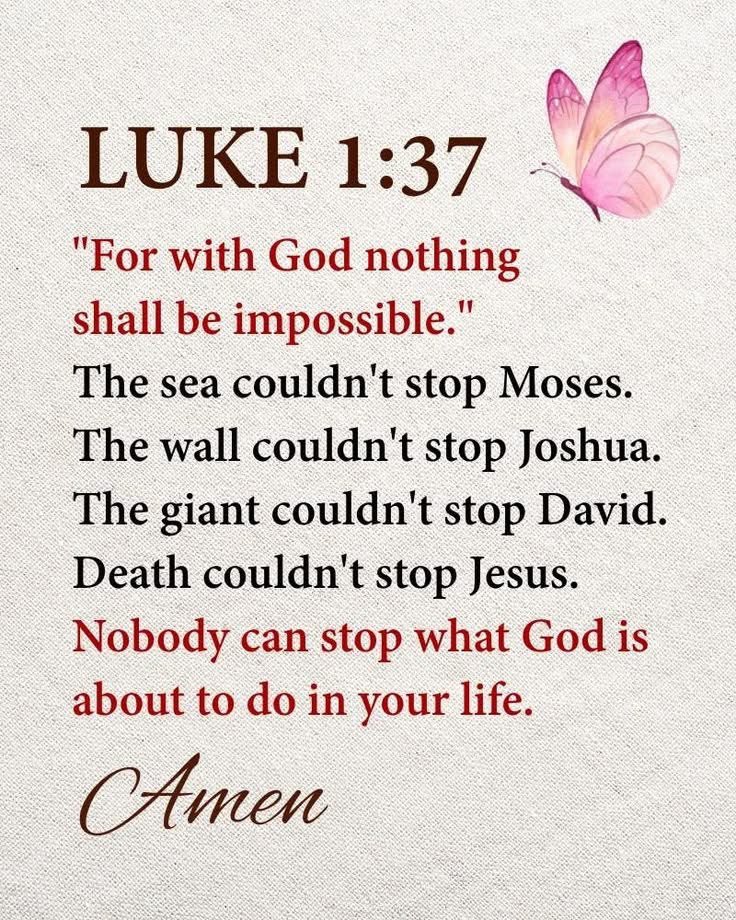 GodsDisciple34's tweet photo. https://t.co/SIbMPylv5k