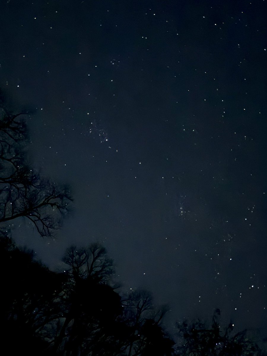 킴에스 (이마짚) tweet media