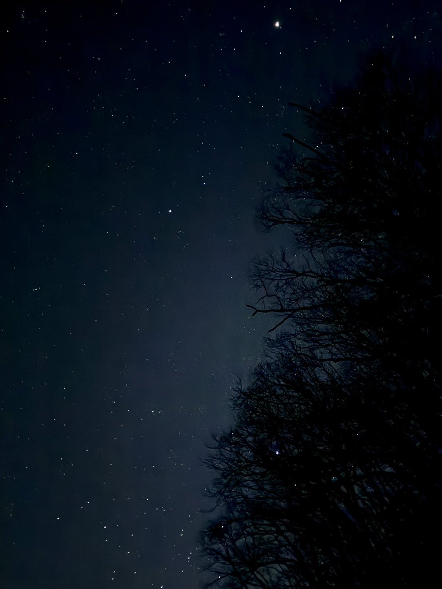 킴에스 (이마짚) tweet media