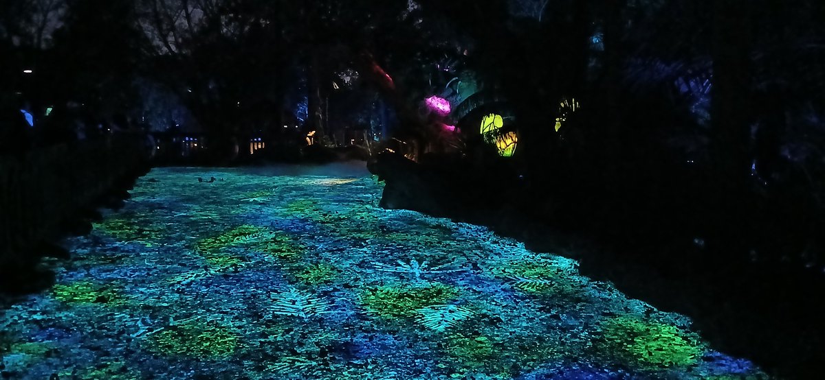 A pathway being refreshed at Pandora: The World of Avatar