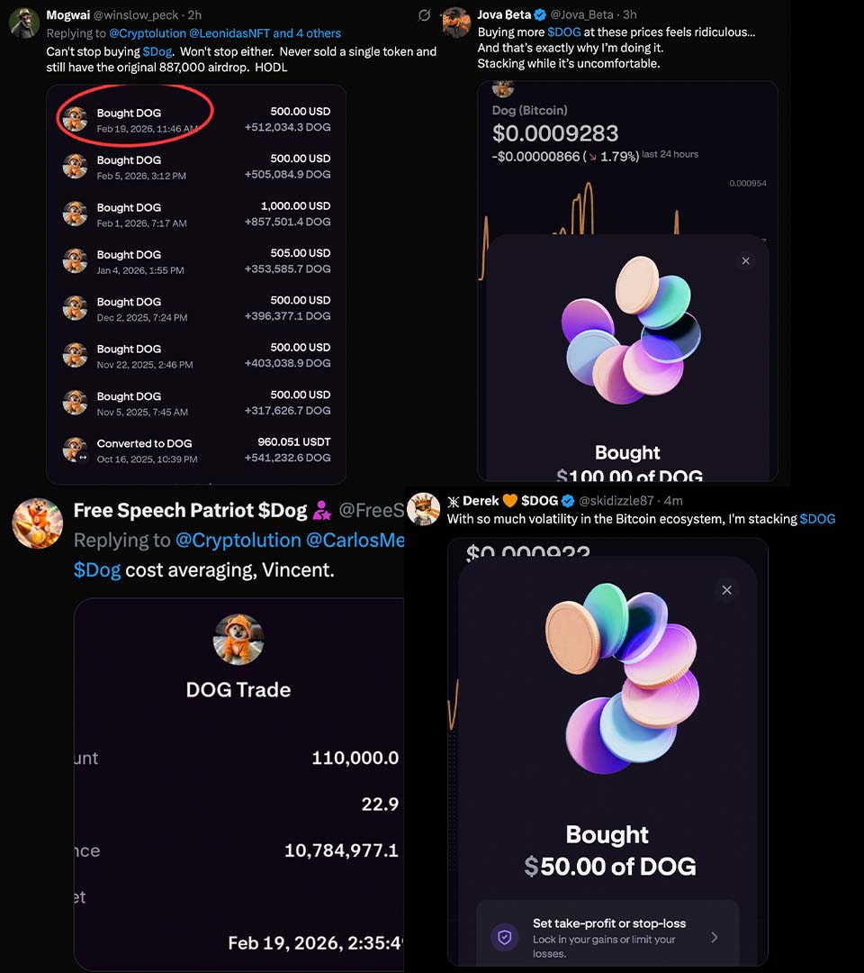 cryptolution101's tweet photo. $DOG (Bitcoin) is climbing the CMC ranks with legends showing up every day 👇

cc: @winslow_peck @Jova_Beta @FreeSpeechUSPat @skidizzle87 https://t.co/GVrtmIv3cb