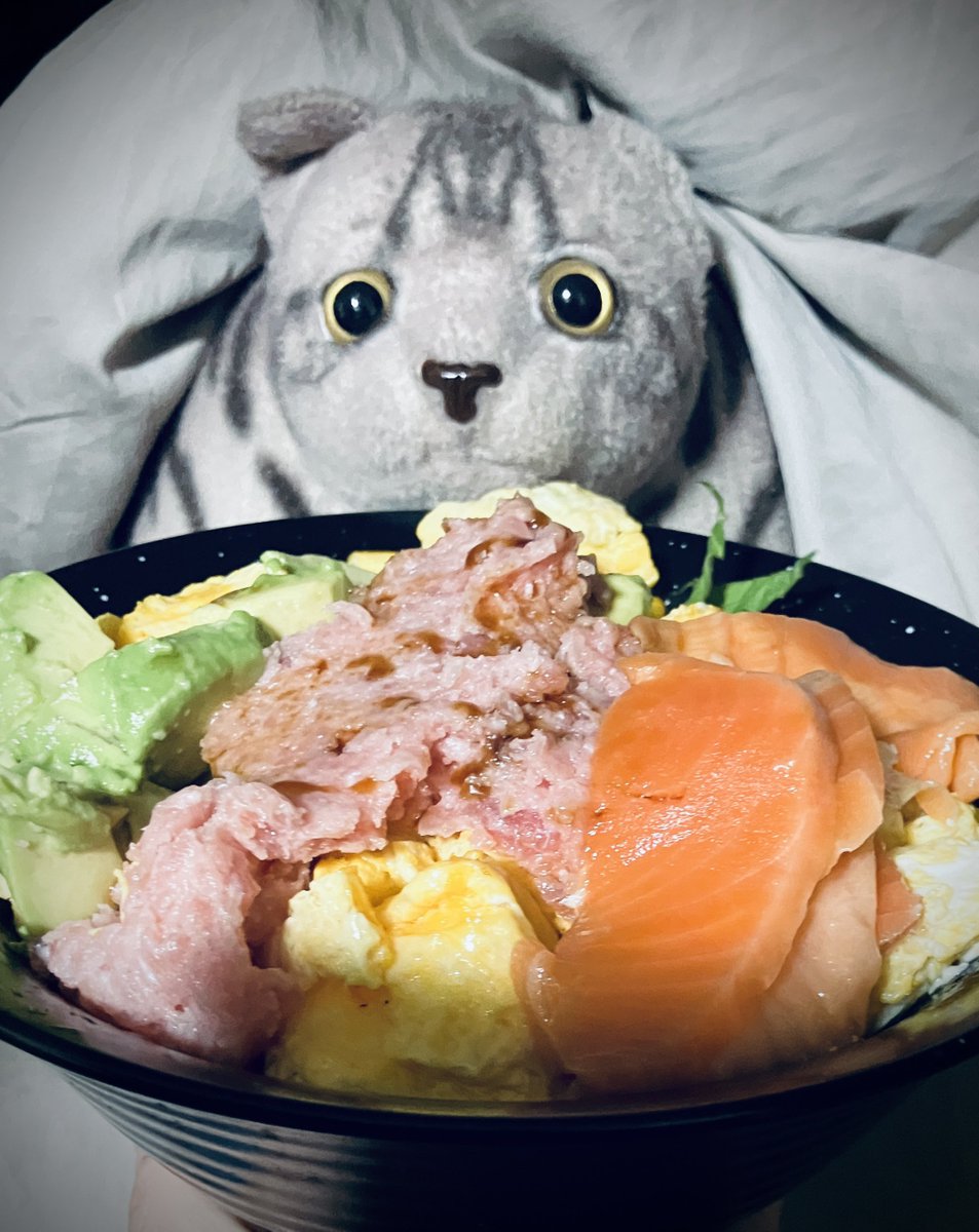 DJ ねこちぃねこちぃ a.k.a 廃店長 (@H_a_I_t_e_N) / Posts / X