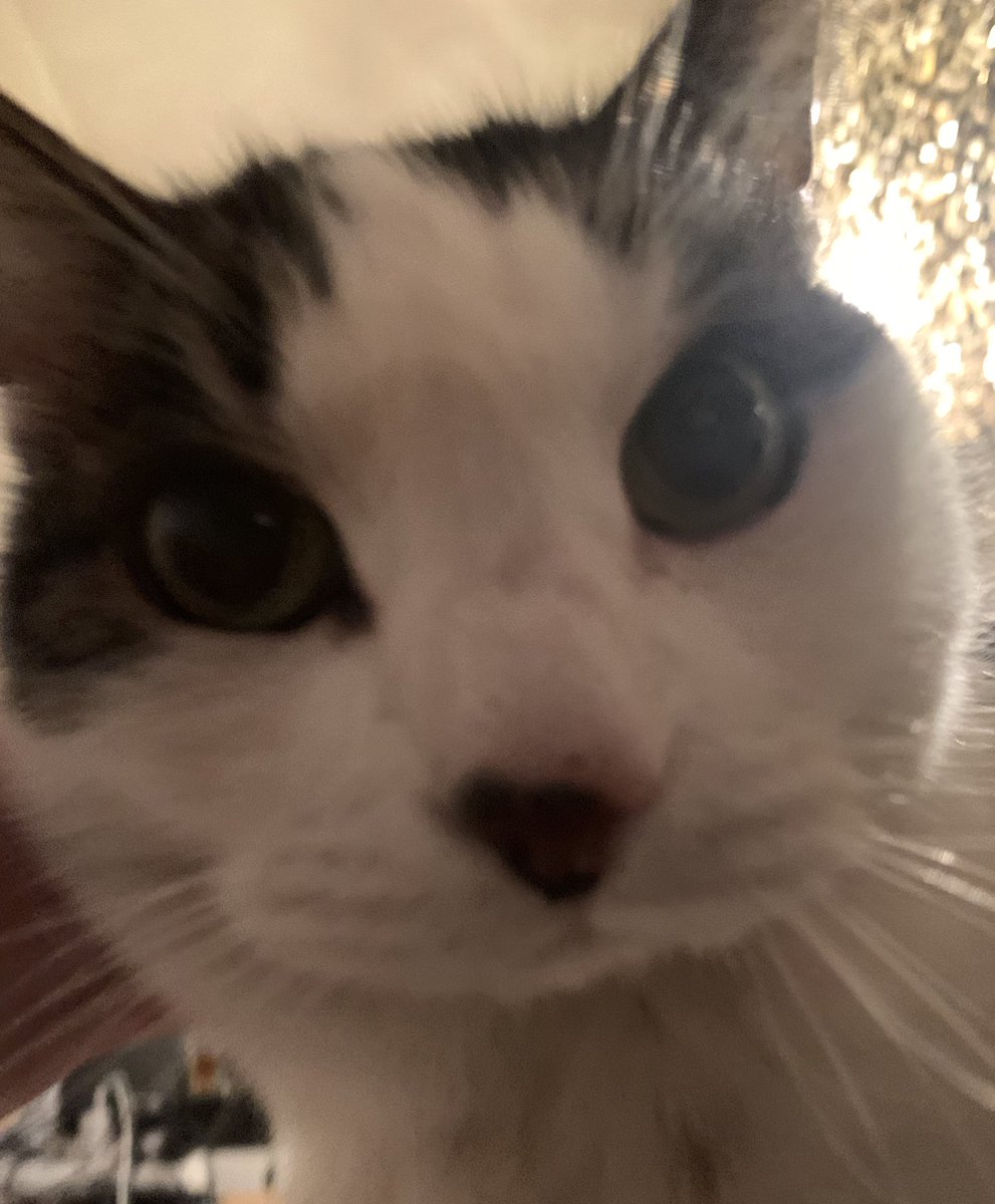 I can see…  everythang,,,.,