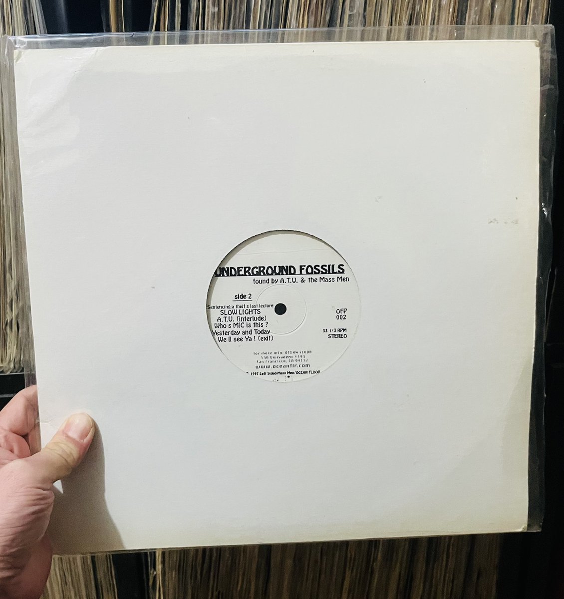 樹音個守熊 tweet media