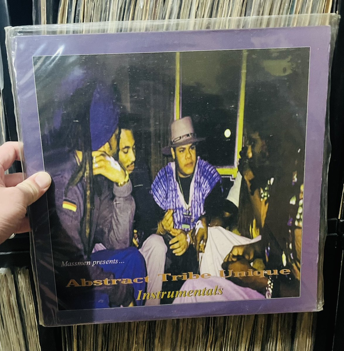 樹音個守熊 tweet media