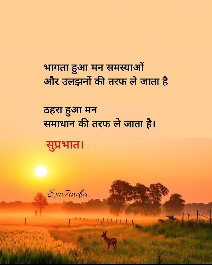 Rbind47's tweet image. भागता हुआ मन समस्याओ और उलझनों की तरह लेकर जाता है 
ठहरा हुआ मन 
समाधान की तरफ लेकर जाता है...... ❤️🙏
सुप्रभात ✨🌄
Good morning ✨🌄
#GodMorningFriday