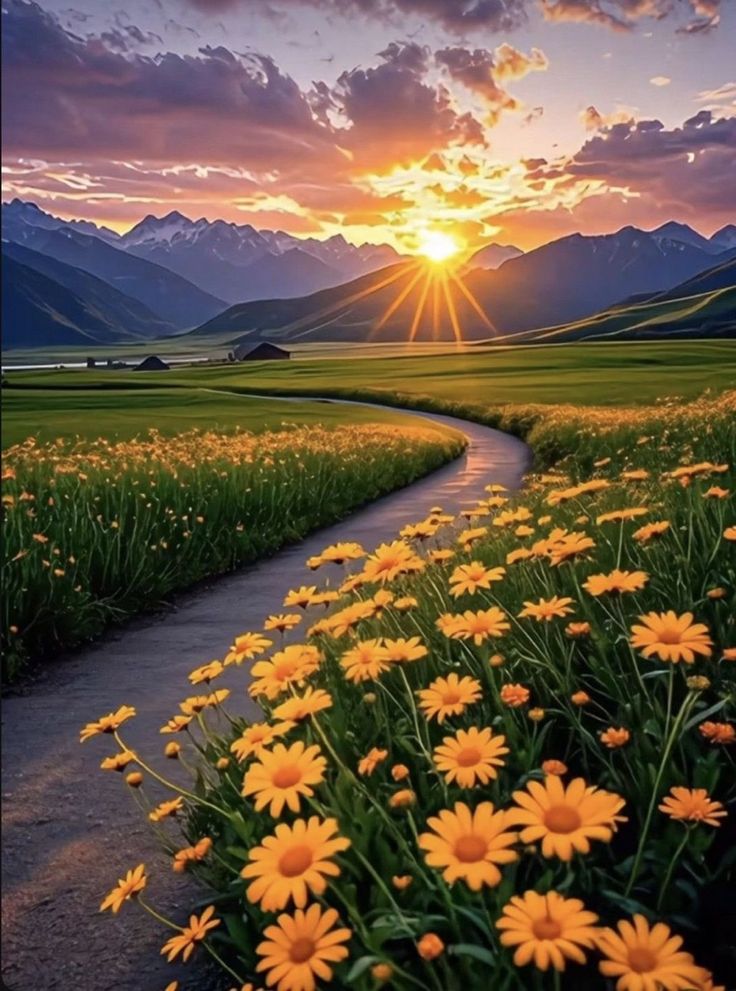 Ayesha Khan tweet media