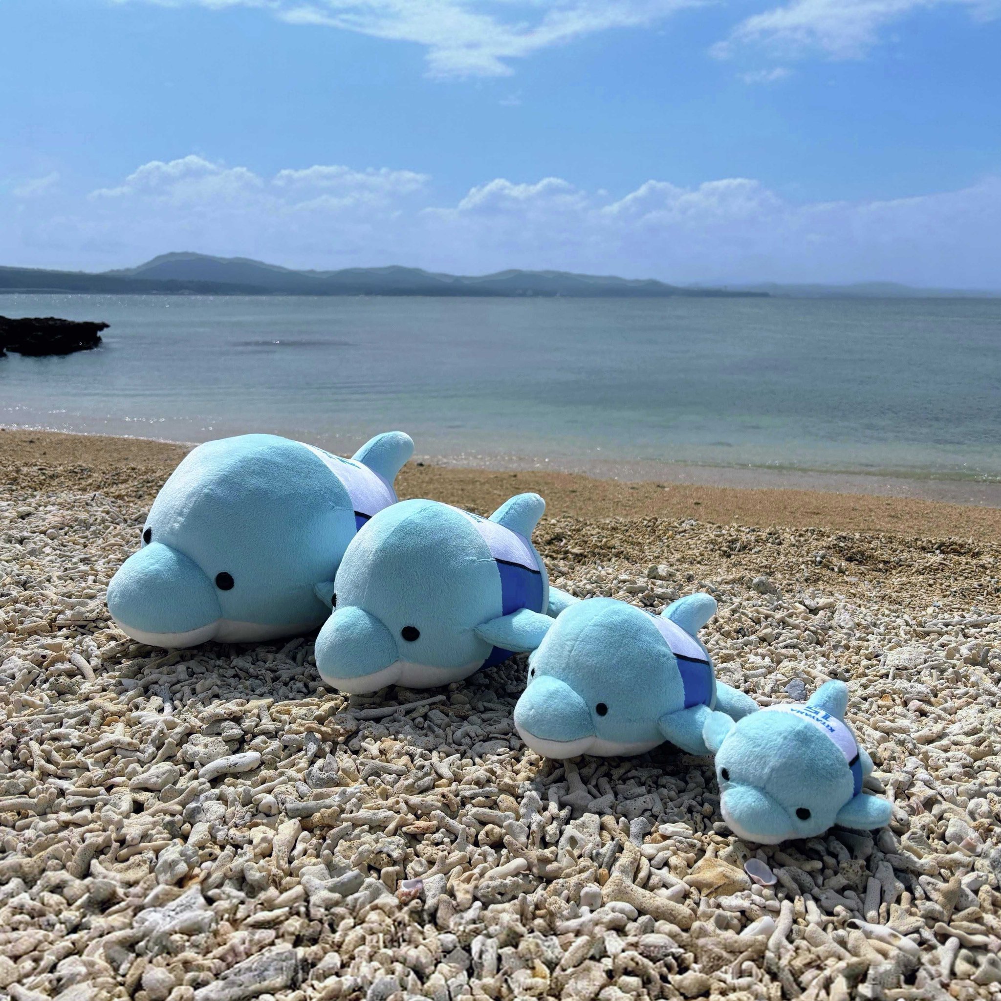 【野村佑希・2等】沖縄キャンプ限定　ファイターズ 動物ぬいぐるみくじ 2等 HBj50wObUAIa7kW.jpg:large