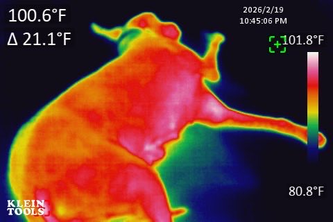 <a href="/FloodlightNews/">Floodlight</a> Should the EPA come after my Great Dane next?