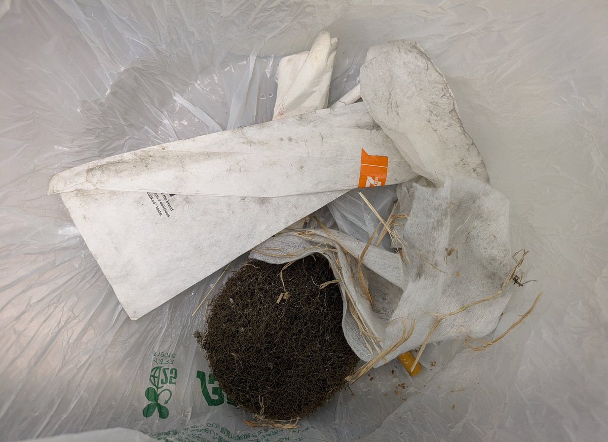 yajikita0731's tweet image. #ゴミ拾い #cleanup 　527回目

少しずつ、鼻がむず痒く感じ始めた今日この頃。