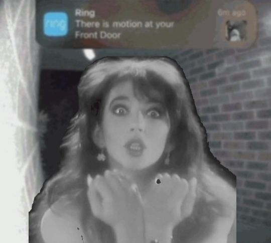 Pedro (@youwerethestar) on Twitter photo 